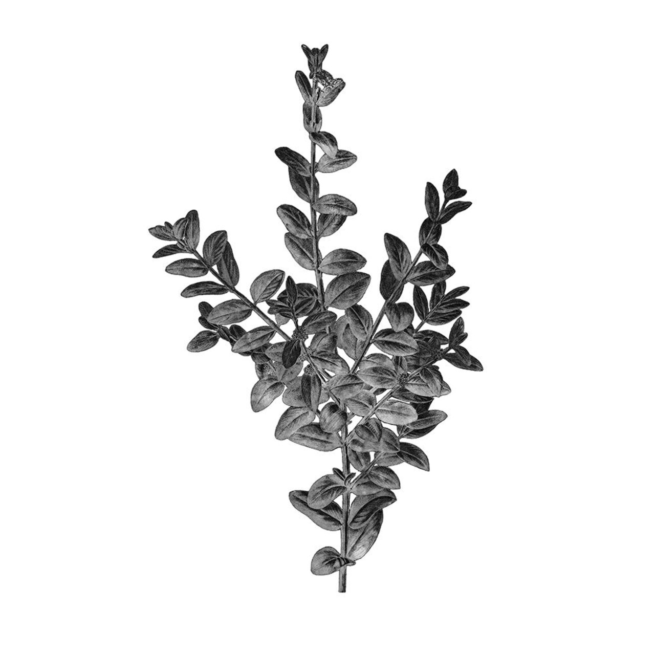 Botanical Black 4 Poster Print by Allen Kimberly - Item # VARPDXKASQ1349D